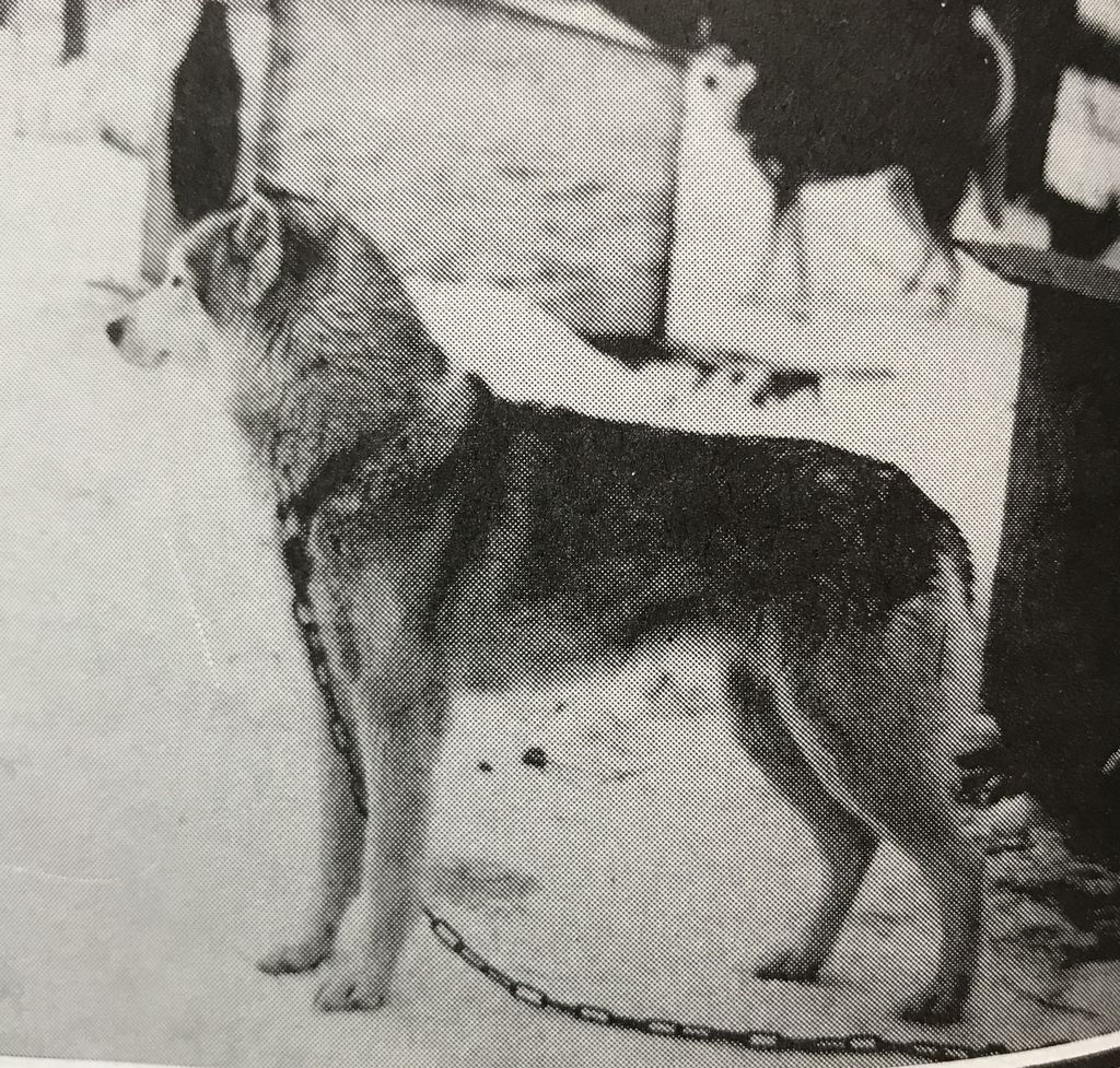 Photo of Nytek Of Calivali