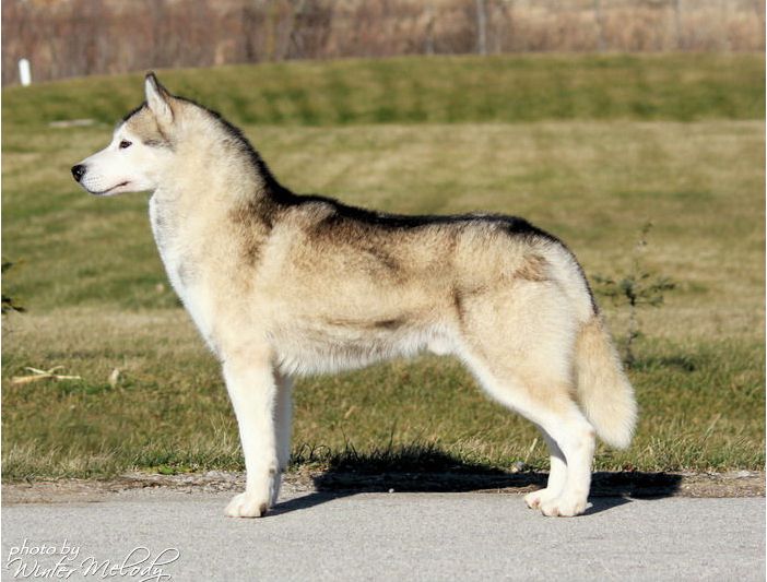 Photo of Kristari’s Just Cruisin
