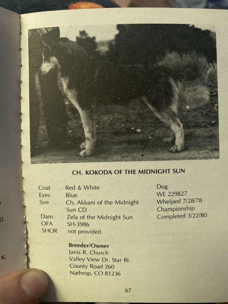 Photo of Kokoda Of The Midnight Sun