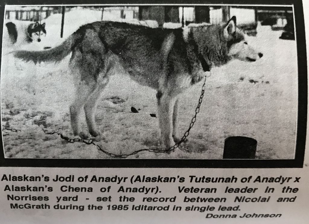Photo of Alaskan’s Jodi Of Anadyr