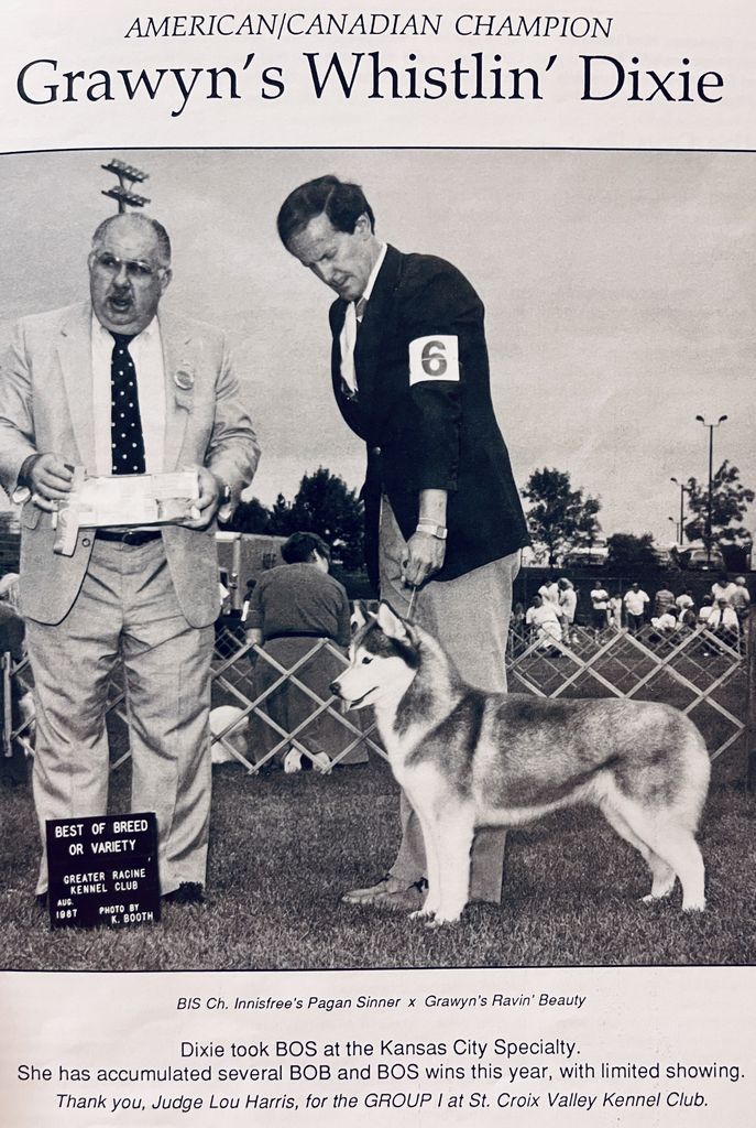 Photo of Grawyn’s Whistlin’ Dixie