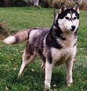 Photo of Innisfree's Designing Woman