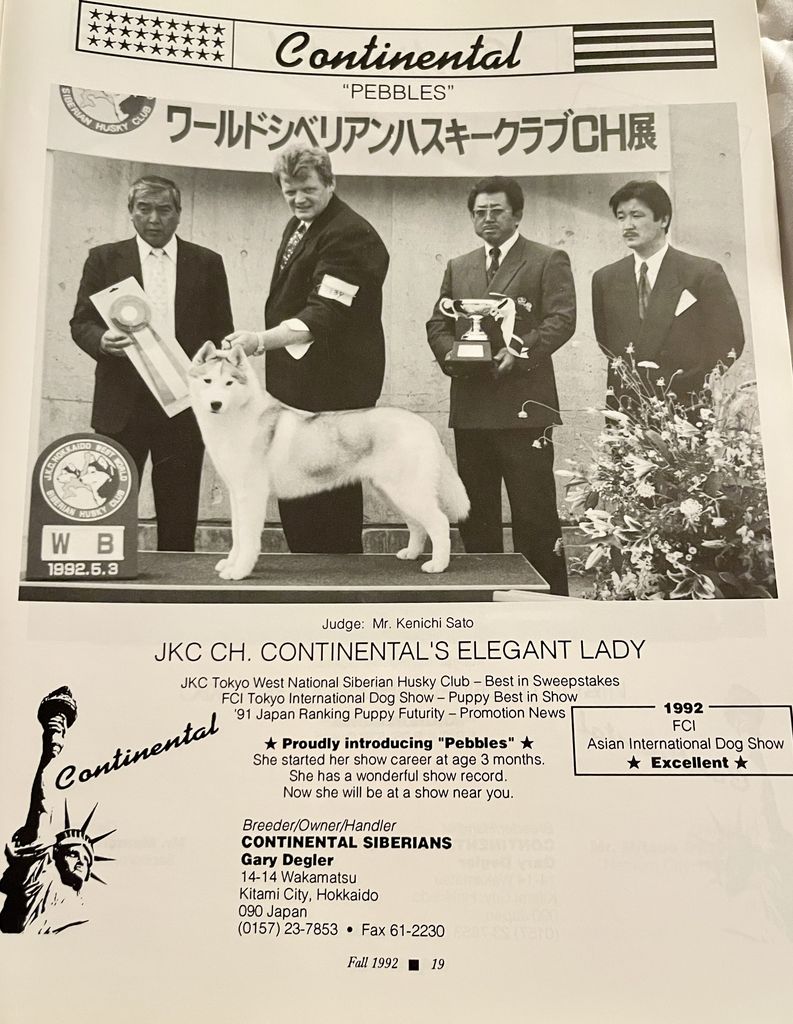 Photo of Continental JP Elegant Lady