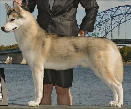 Photo of Zuska’s The Real Deal