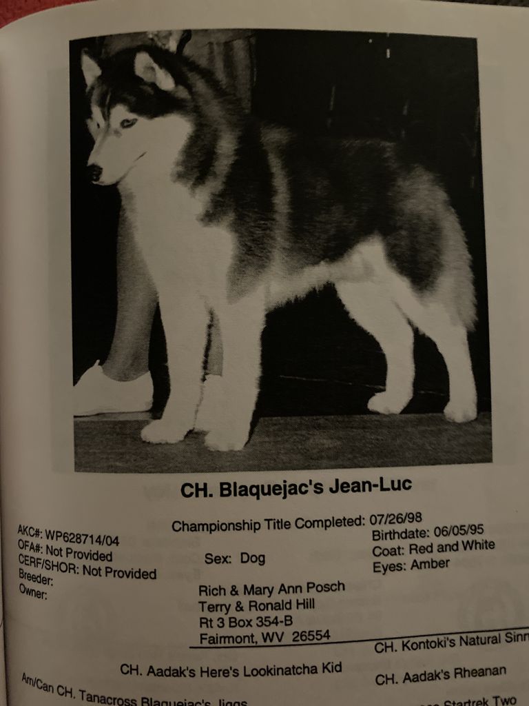 Photo of Blaquejac’s Jean-Luc