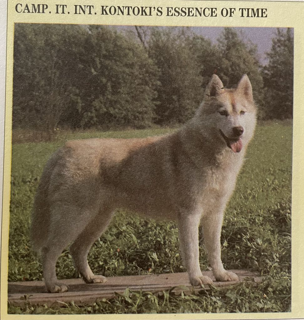 Photo of Kontoki’s Essence of Time