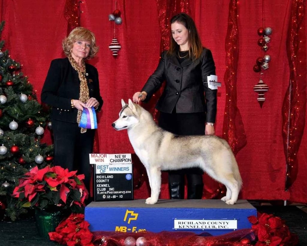Photo of Nanook’s Pvt Stk Marquis
