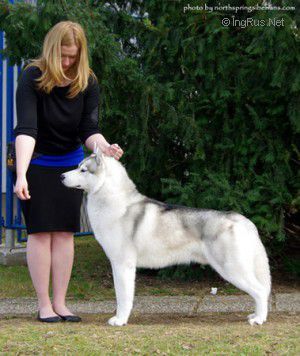 Photo of Indian Legend Of Siberian Lady