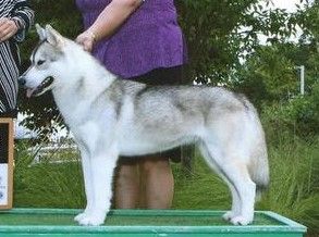 Photo of Kansa Walking On Sunshine
