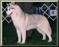 Photo of Land-O-Sun’s Sterling Silver