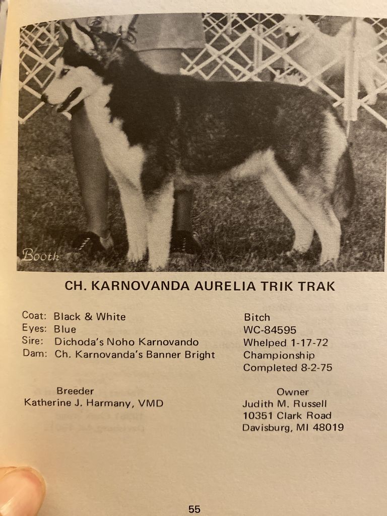 Photo of Karnovanda Aurelia Trik Trak