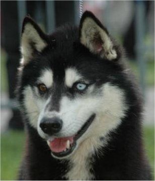 Photo of Saskatchevan Trail's Riana