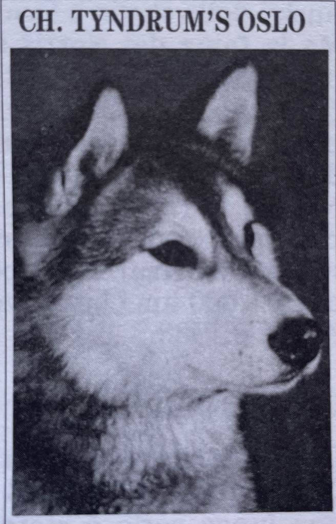 Photo of Tyndrum’s Oslo