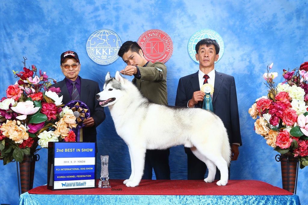 Photo of Howlingstar’s The Karnovanda Spirit