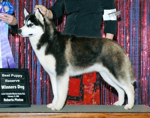 Photo of Alpine-Paka’s Storm Force Reign