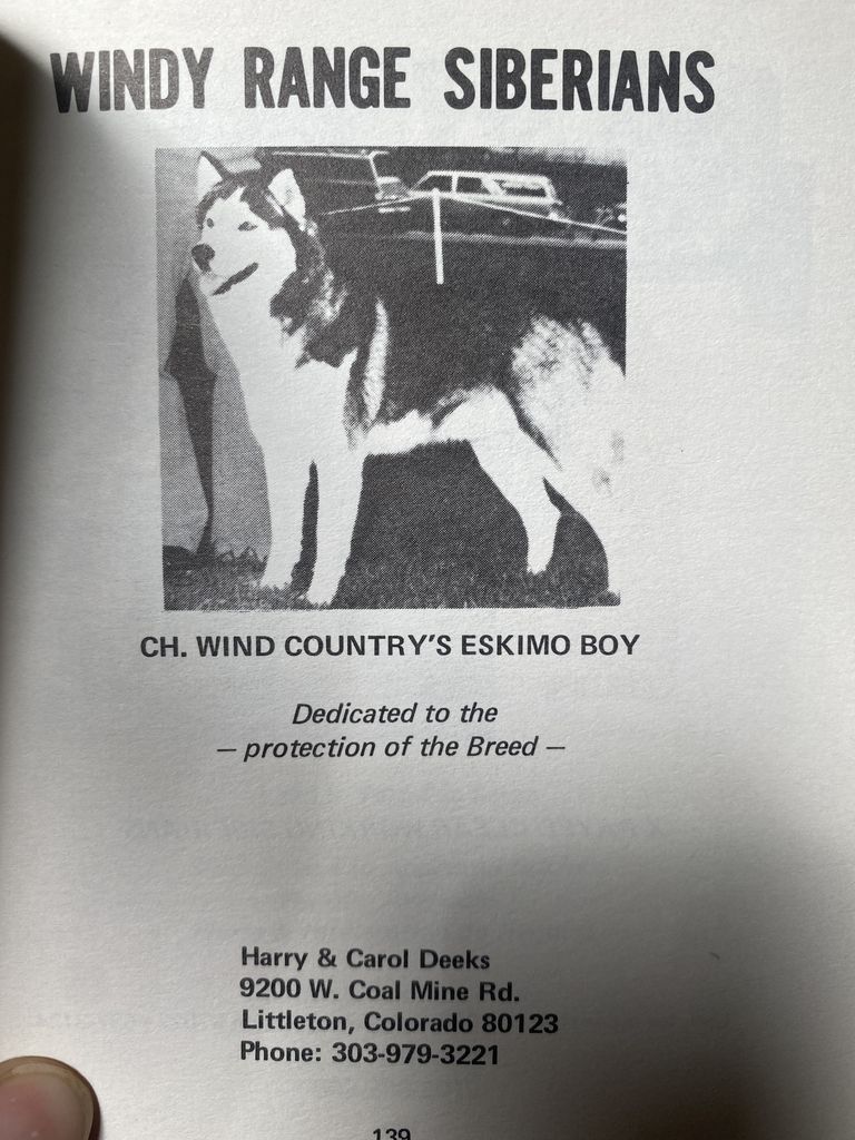 Photo of Wind Country's Eskimo Boy