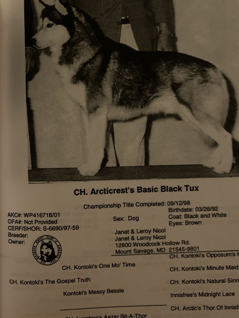 Photo of Arcticrest’s Basic Black Tux