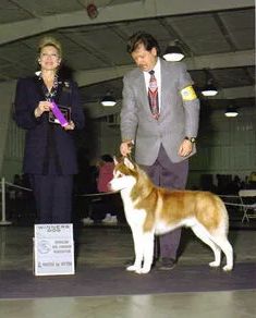 Photo of Tjaalands Indian Red Twomix
