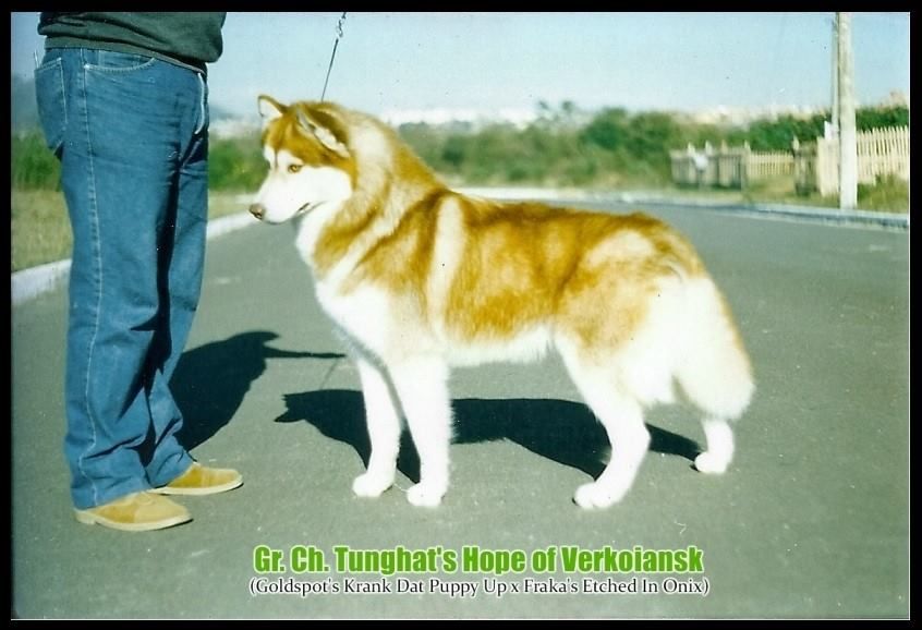 Photo of Tunghat’s Hope Of Verkoiansk