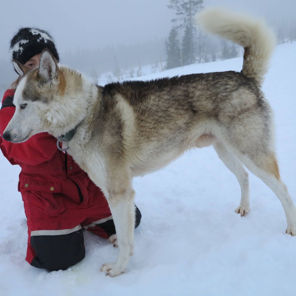 Photo of Umi Av Ulvhild