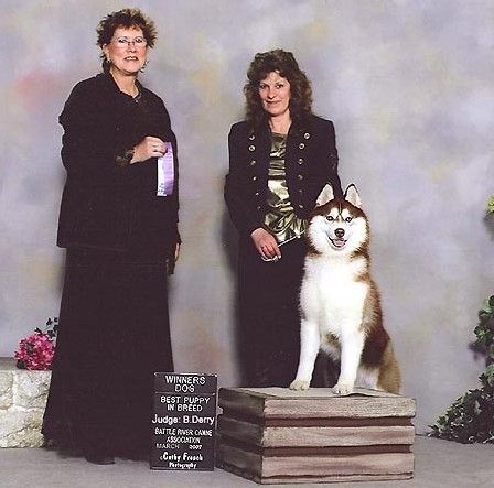 Photo of Arcticsun Wolfwalker Attitude