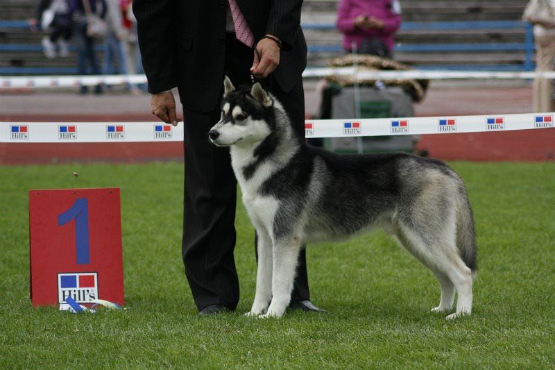 Photo of Kristari’s Dressed To Kill
