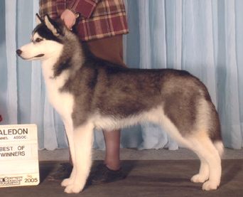 Photo of Bain’s Northern A Certain Smile