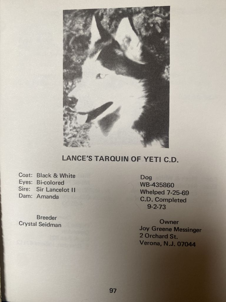 Photo of Lance’s Tarquin of Yeti