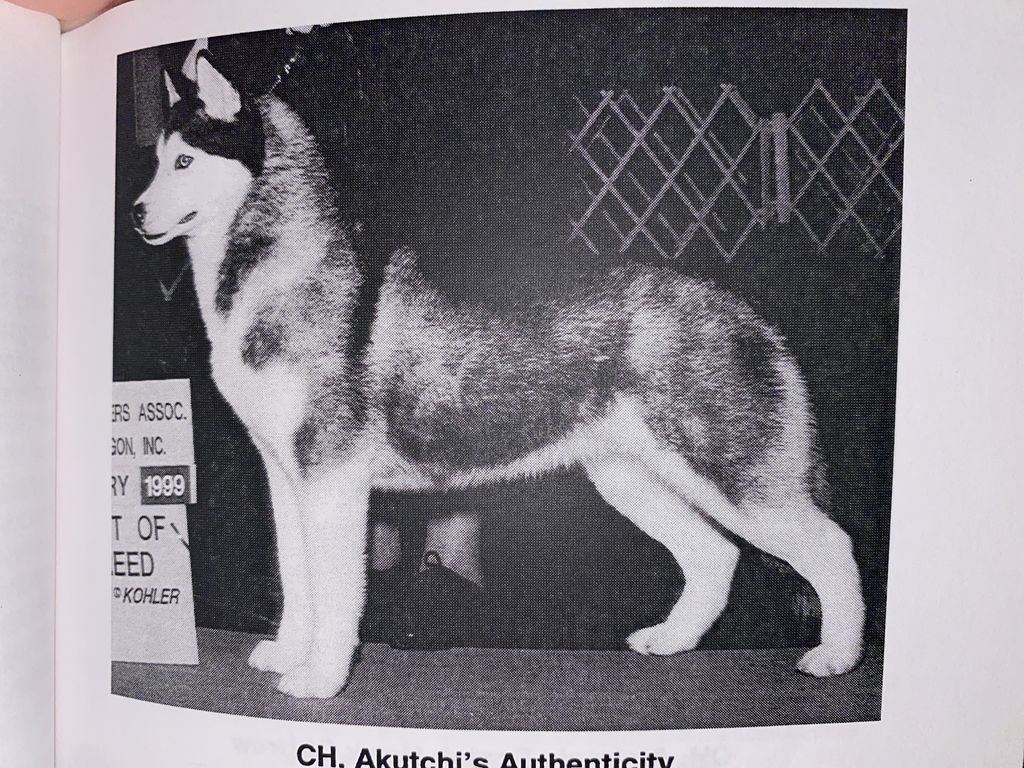 Photo of Akutchi’s Authenticity