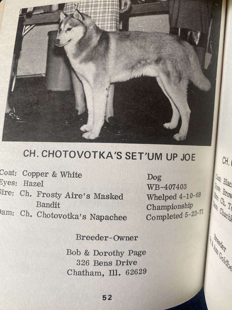 Photo of Chotovotka’s Set’um Up Joe