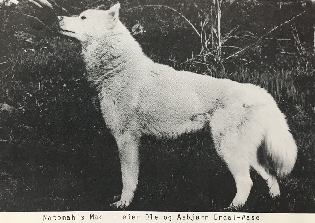 Photo of Natomah's Mac