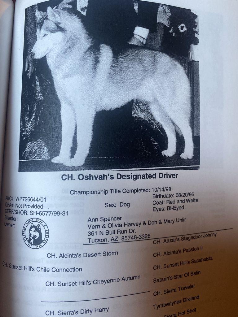 Photo of Oshvah’s Designated Driver