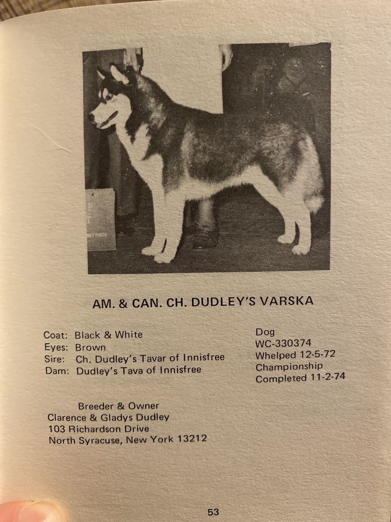 Photo of Dudley’s Varska
