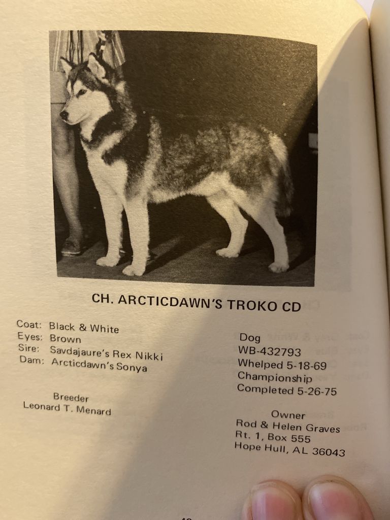 Photo of Articdawn’s Troko