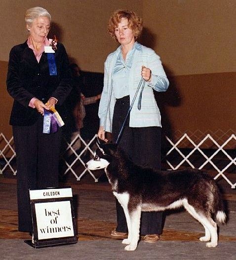 Photo of Kamika's Kama