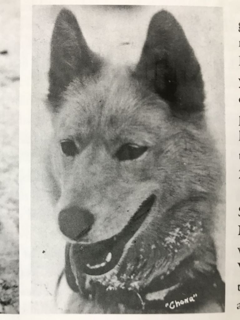 Photo of Fairbanks Princess Chena