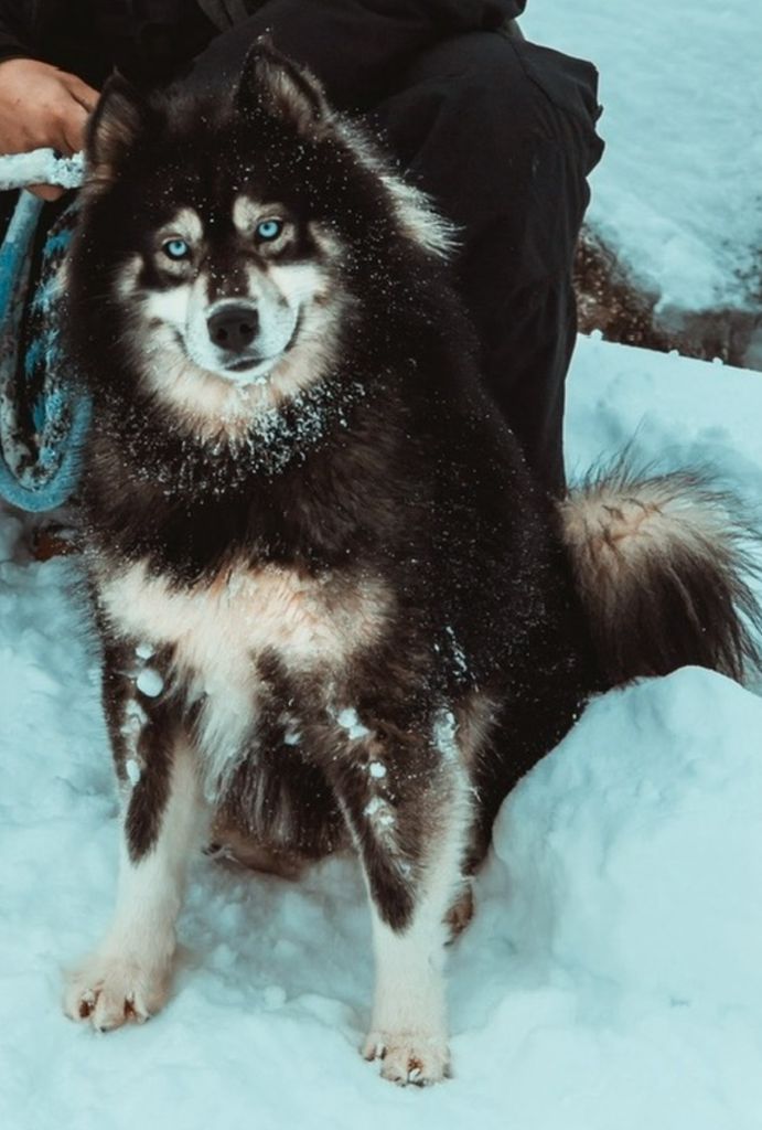 Photo of Thanos