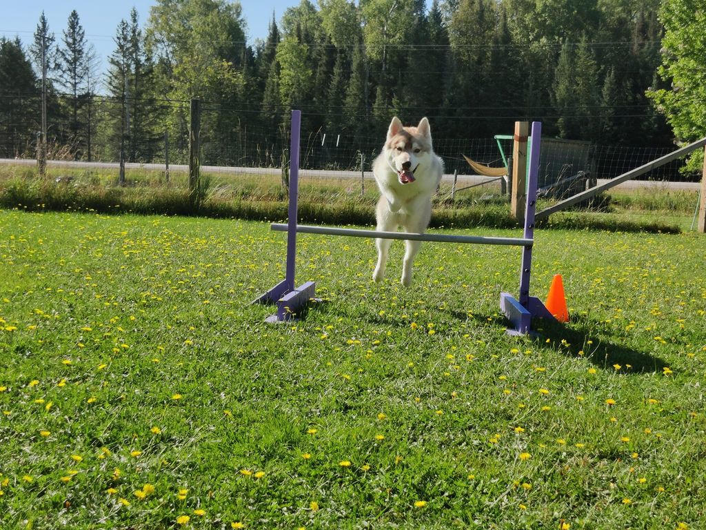 Photo of Sherakan's Arctic Vortex