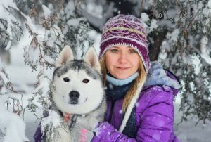 Photo of Husky Haven Butterfly In Almaty