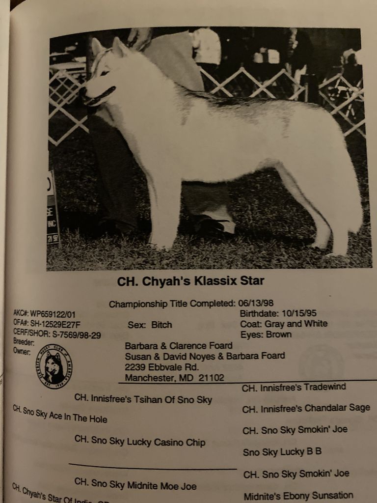 Photo of Chyah’s Klassix Star