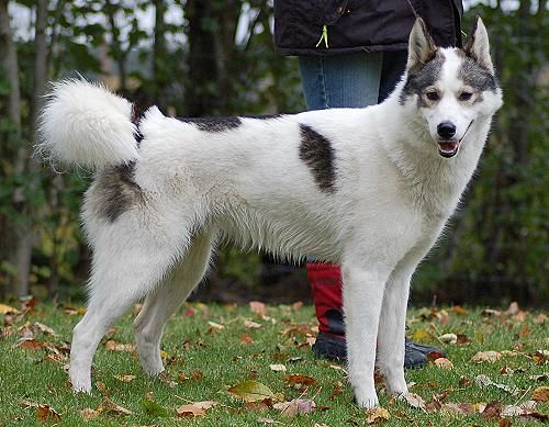 Photo of Freia