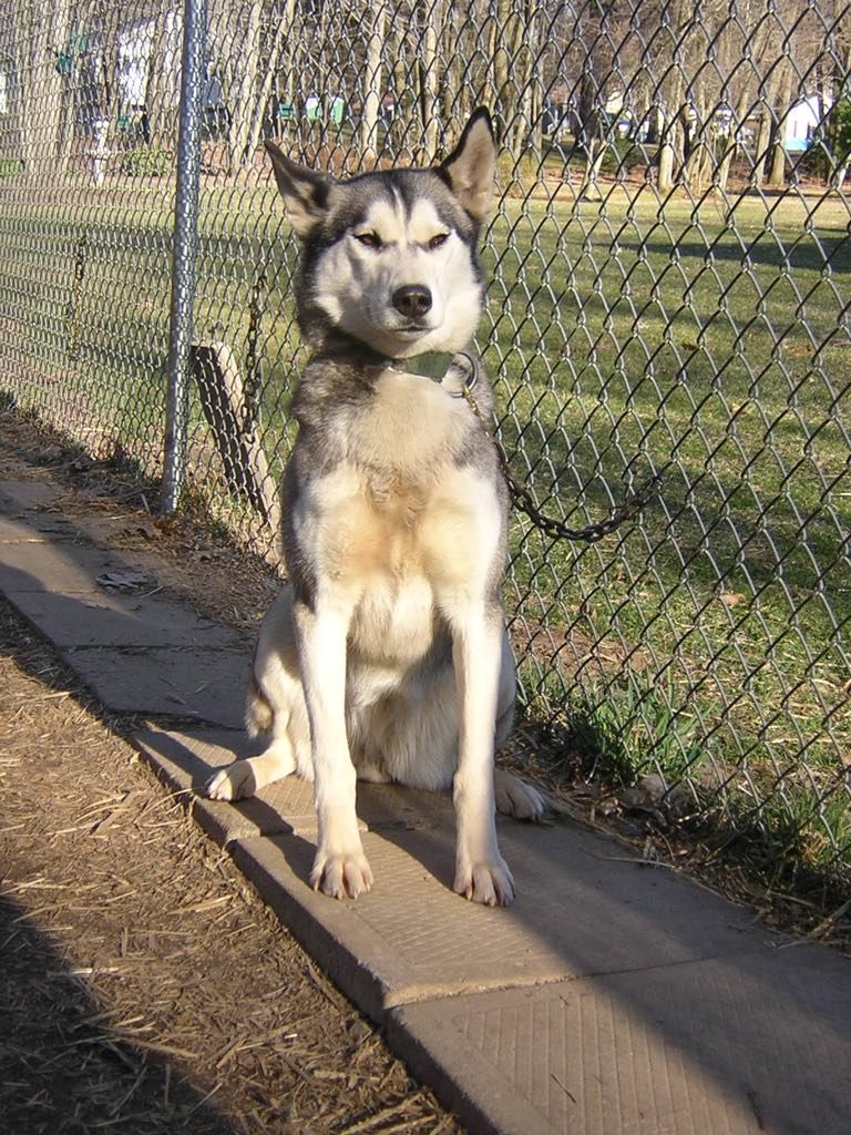 Photo of Ka-Bi’s Stella