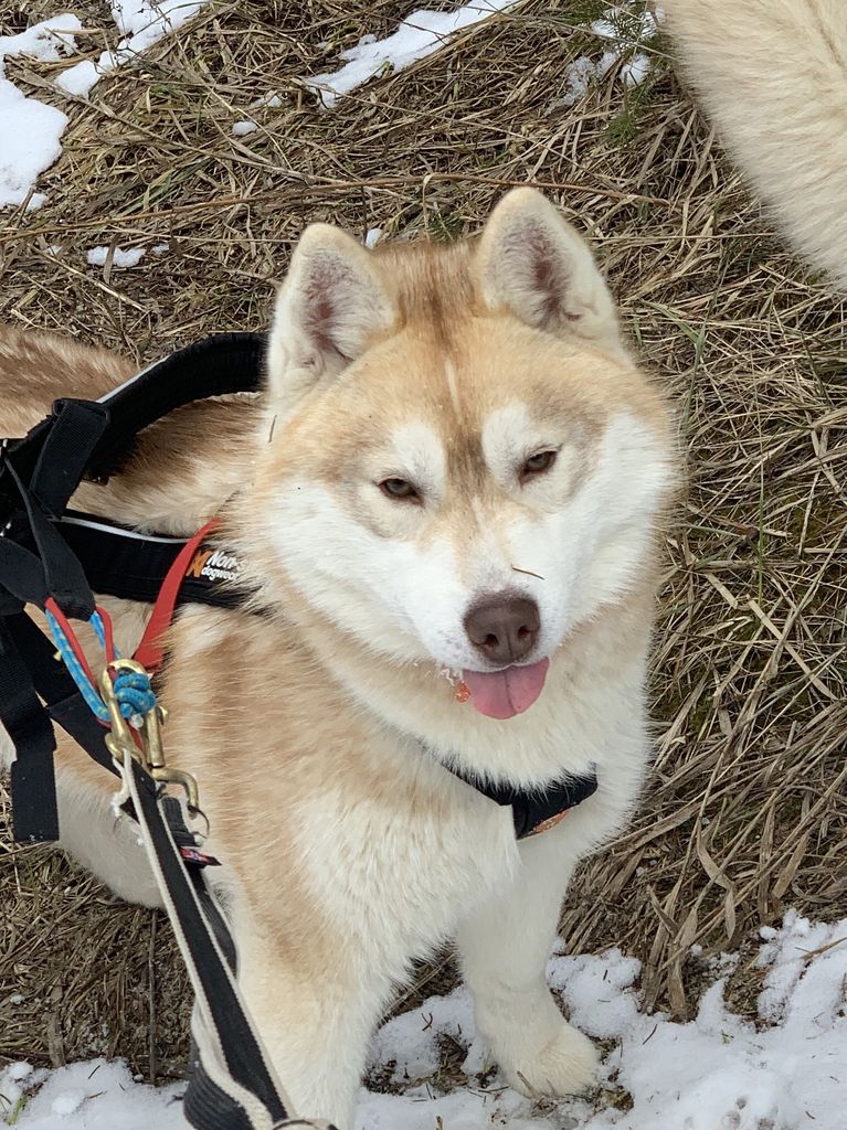 Photo of Sunset’s Ember Sakari