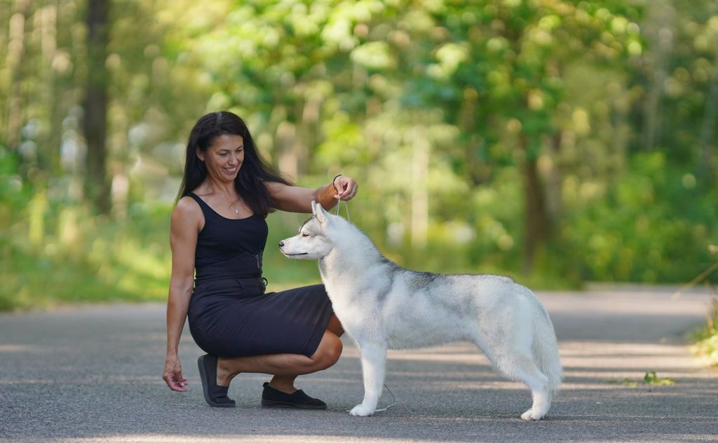 Photo of Natti Husky legaly Blond
