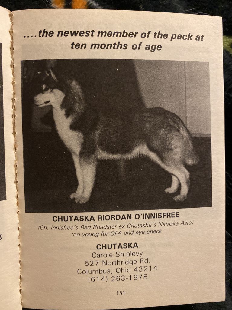 Photo of Chutaska Riordan O’Innisfree