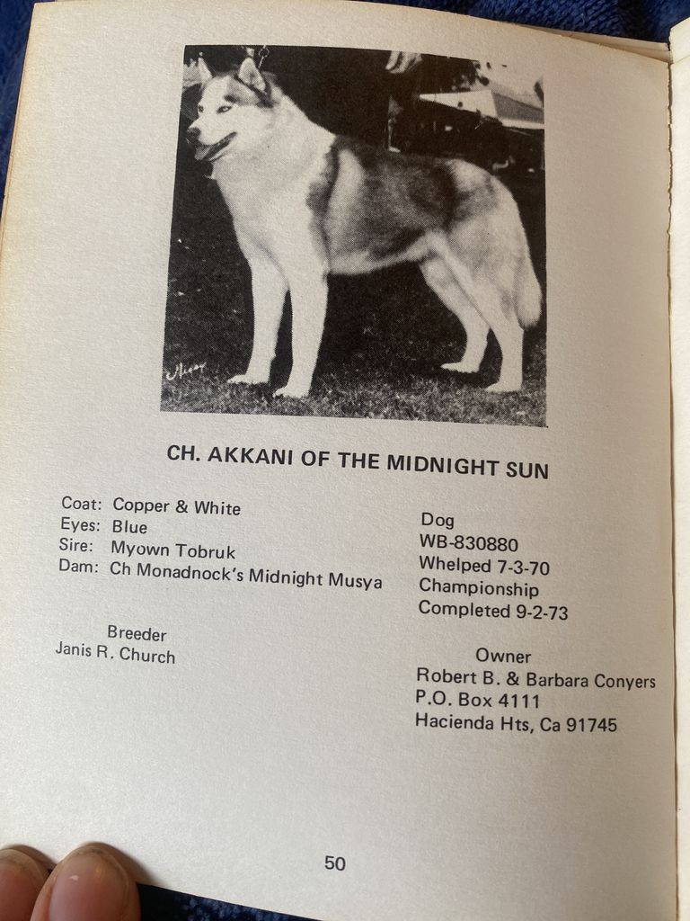 Photo of Akkani Of The Midnight Sun