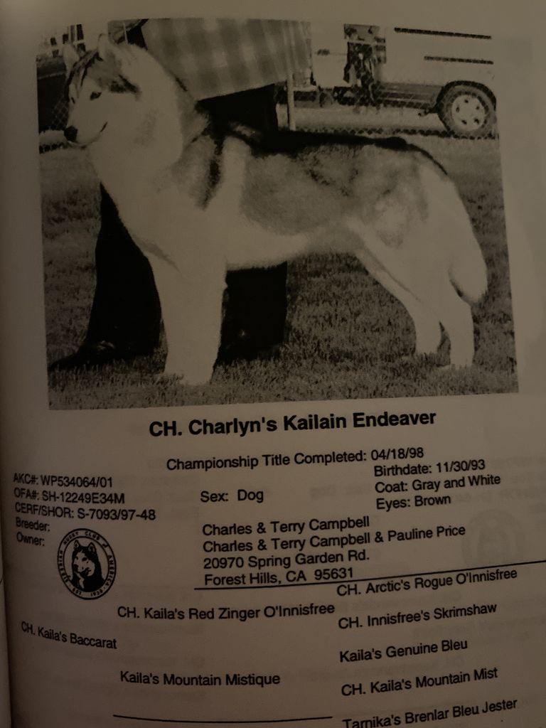 Photo of Charlyn’s Kailian Endeaver