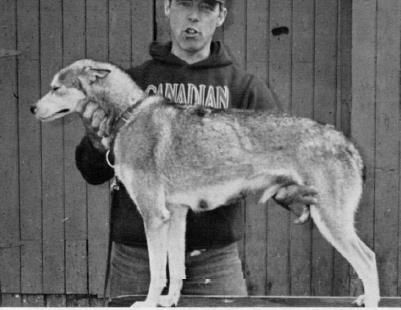 Photo of Alaskan’s Jon Boy of Anadyr