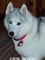 Photo of Sequoia’s Cynder Of Kiana