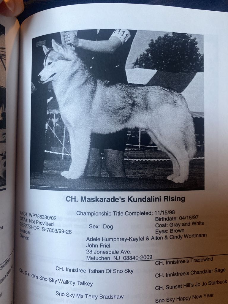 Photo of Maskarade’s Kundalini Rising